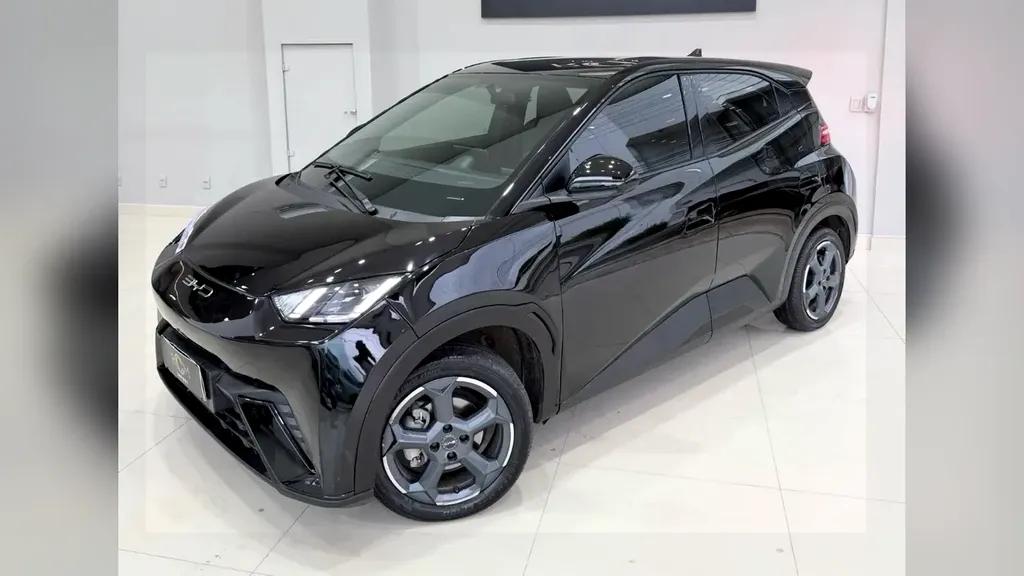 Foto de um byd dolphin mini