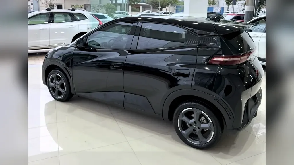 BYD Dolphin Mini - Imagem 8