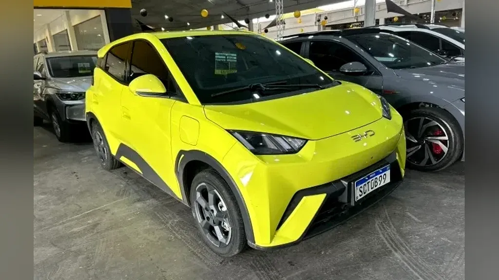 Foto de um byd dolphin mini