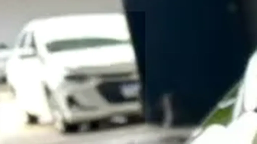 BYD Dolphin Mini - Imagem 3