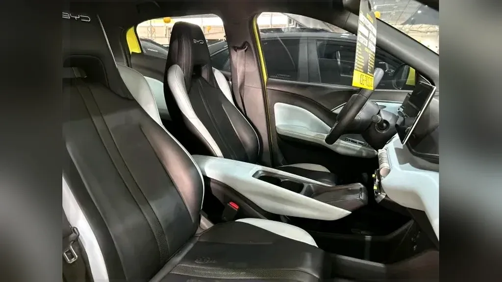 BYD Dolphin Mini - Imagem 11