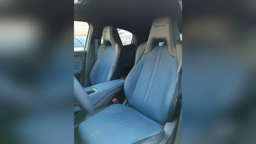 BYD Dolphin Mini - Imagem 8