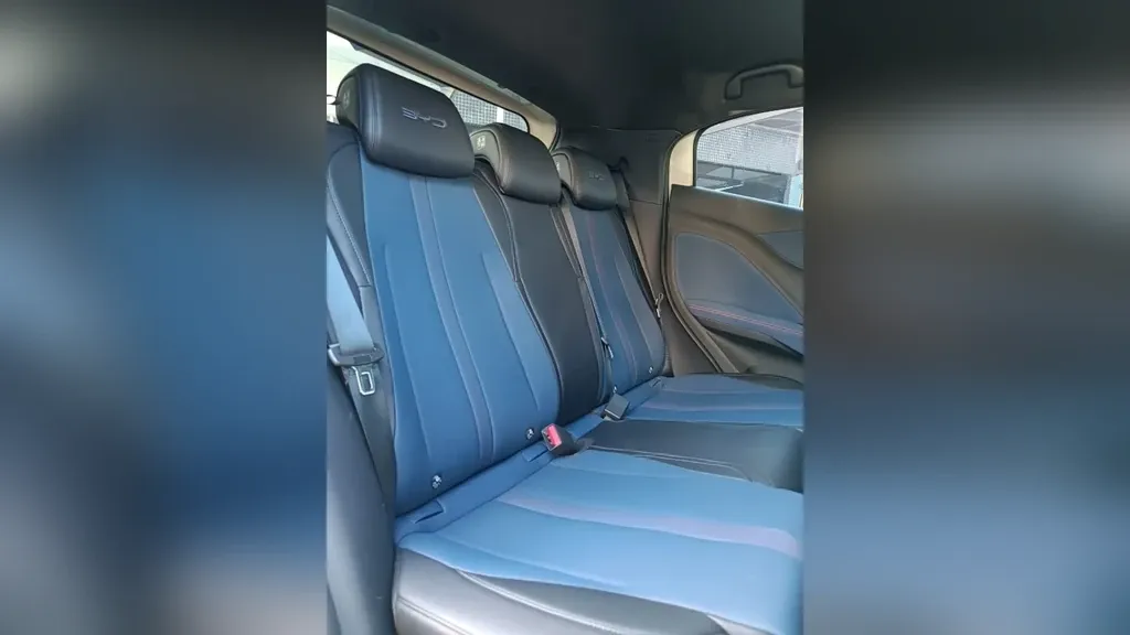 BYD Dolphin Mini - Imagem 11