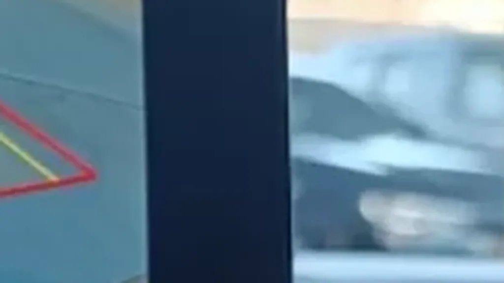 BYD Dolphin Mini - Imagem 13