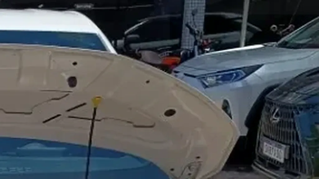 BYD Dolphin Mini - Imagem 14