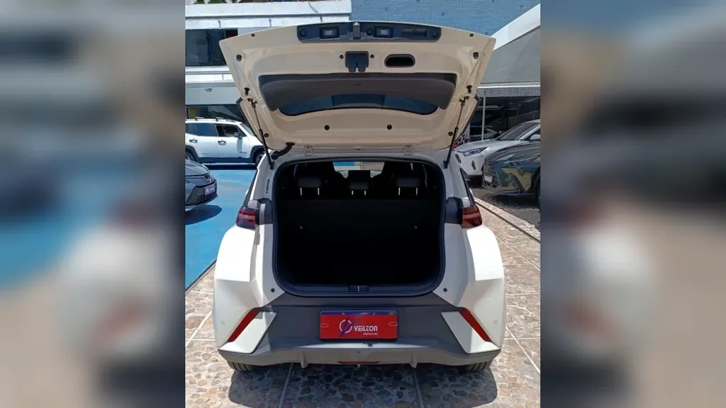 BYD Dolphin Mini - Imagem 15