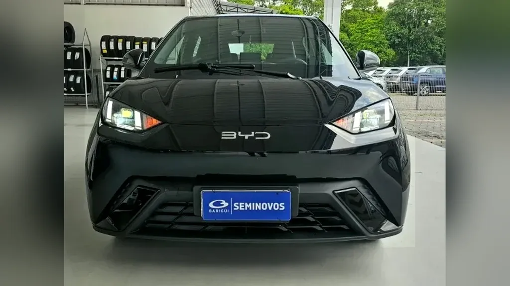 BYD Dolphin Mini - Imagem 2