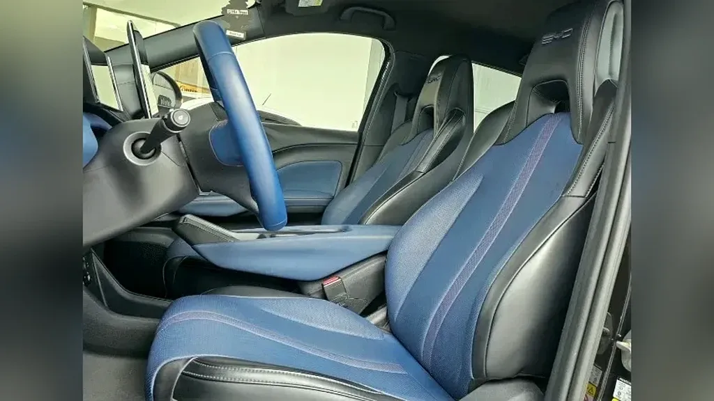 BYD Dolphin Mini - Imagem 13