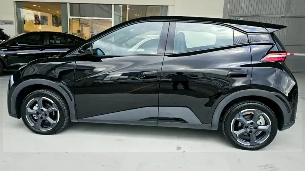 BYD Dolphin Mini - Imagem 12