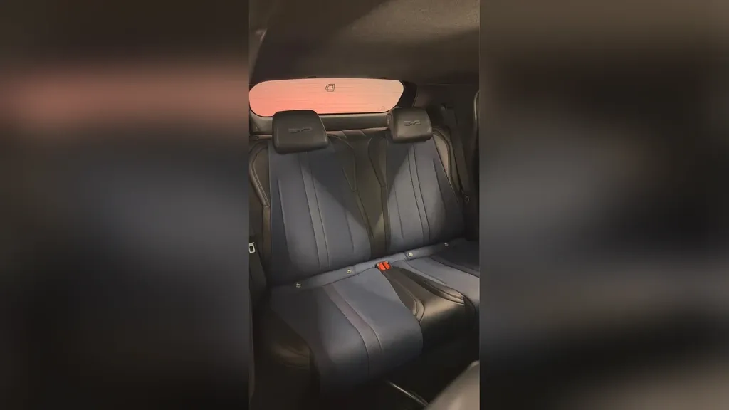 BYD Dolphin Mini - Imagem 12