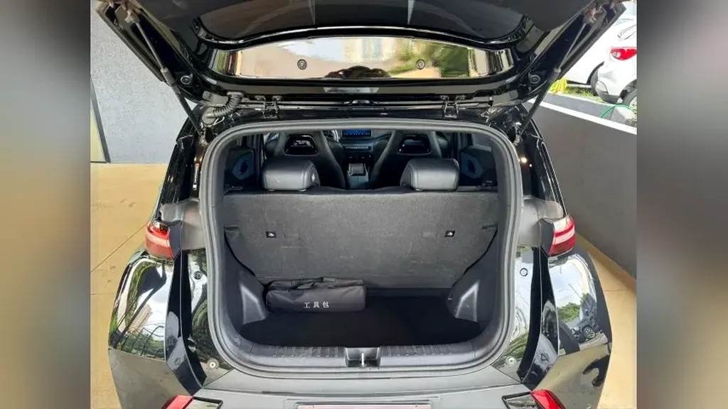 BYD Dolphin Mini - Imagem 12