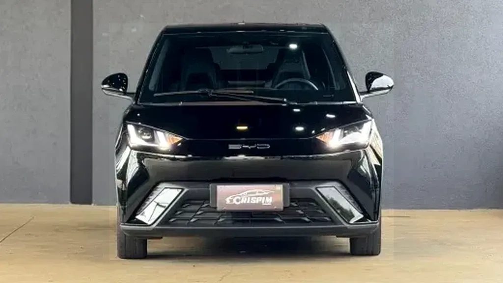 BYD Dolphin Mini - Imagem 13