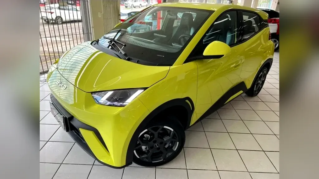 Foto de um byd dolphin mini