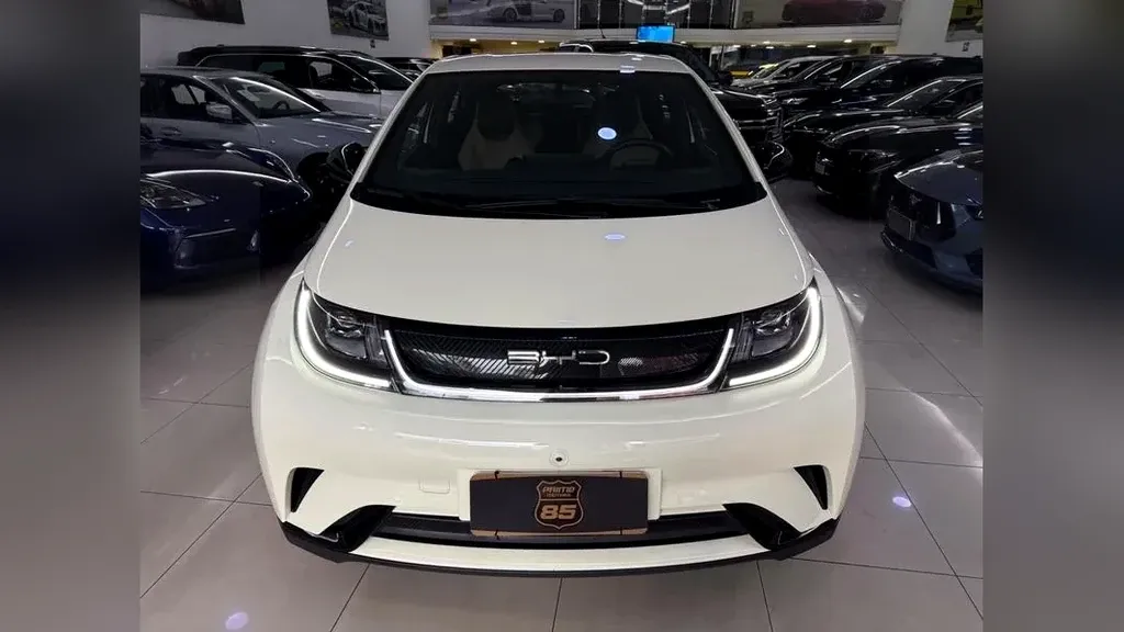 BYD Dolphin - Imagem 2