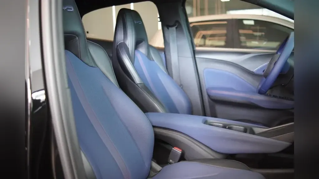 BYD Dolphin Mini - Imagem 12