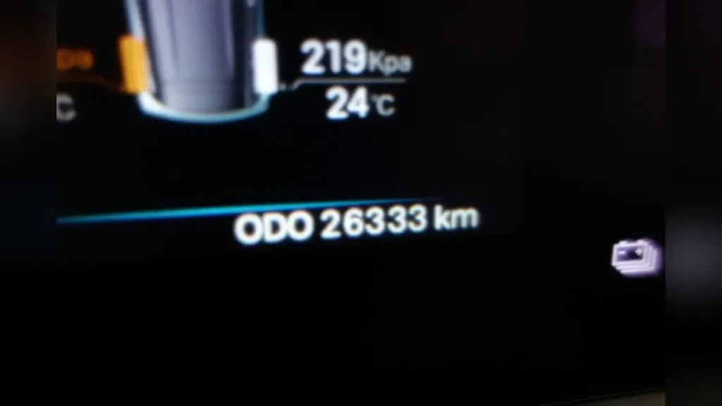 BYD Dolphin Mini - Imagem 10