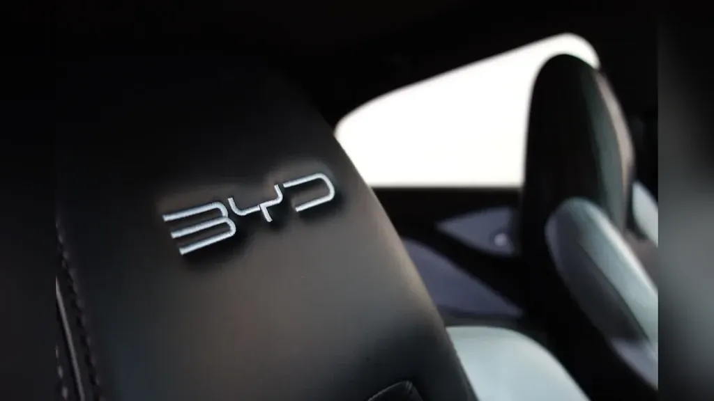 BYD Dolphin Mini - Imagem 13