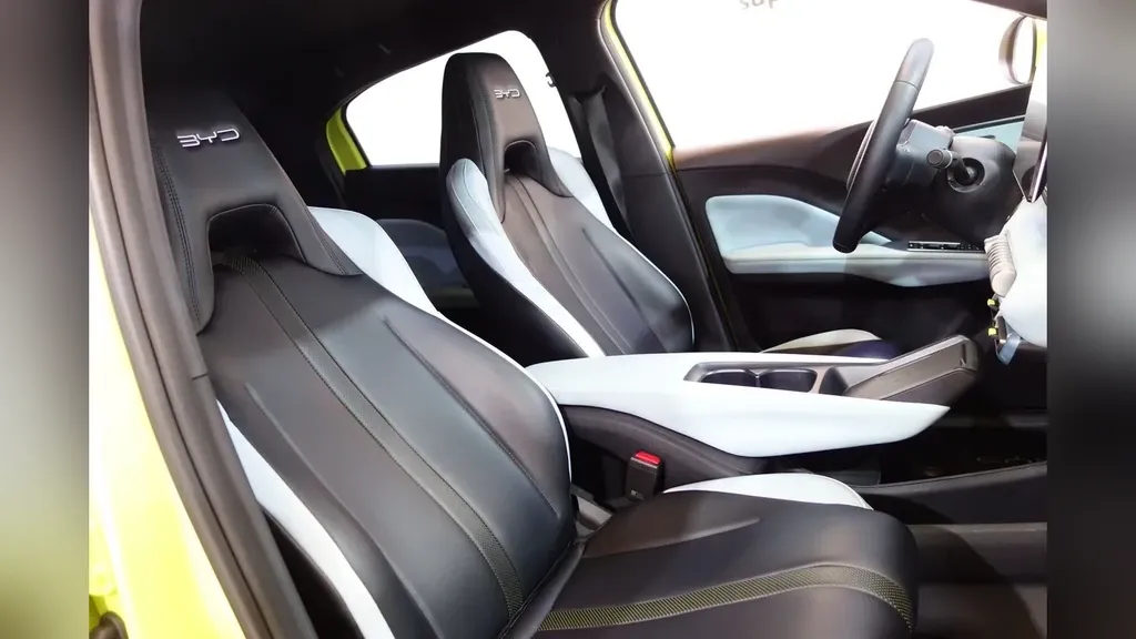 BYD Dolphin Mini - Imagem 19