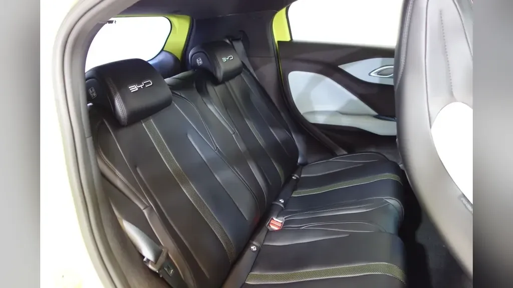 BYD Dolphin Mini - Imagem 20