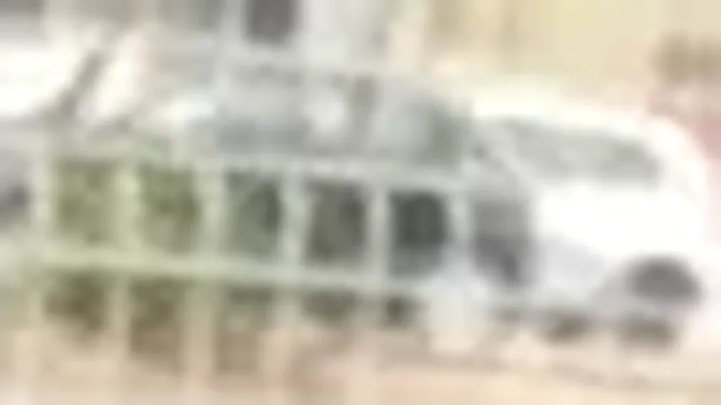 BYD Yuan Plus - Imagem 8