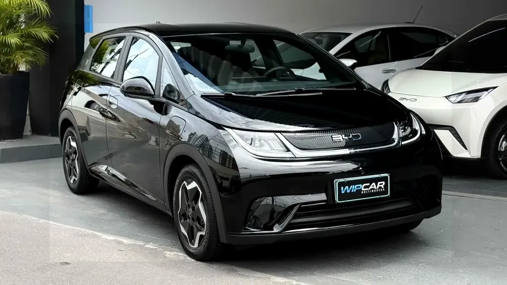 Foto de um byd dolphin