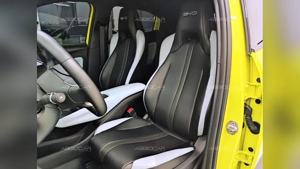 BYD Dolphin Mini - Imagem 17