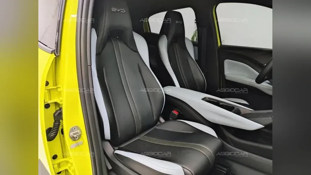 BYD Dolphin Mini - Imagem 20