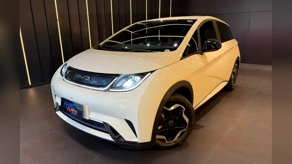 Foto de um byd dolphin