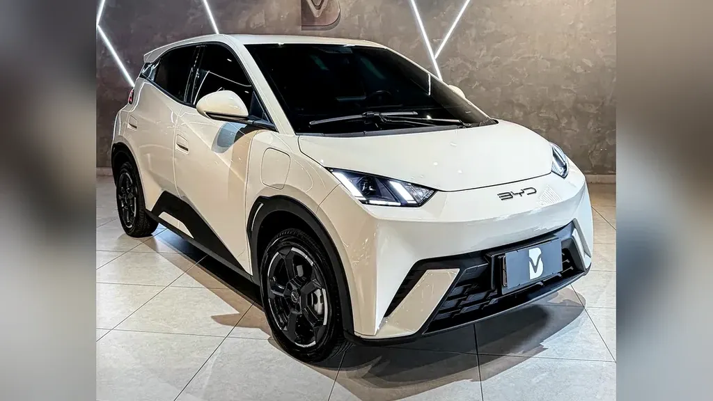 Foto de um byd dolphin mini