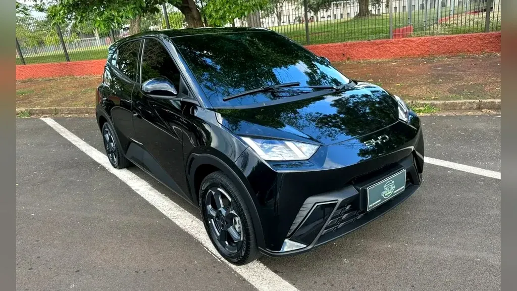 Foto de um byd dolphin mini