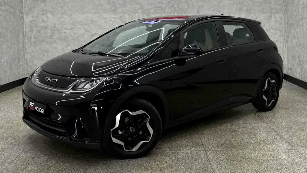 Foto de um byd dolphin