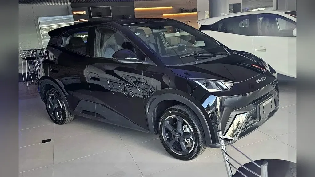 Foto de um byd dolphin mini