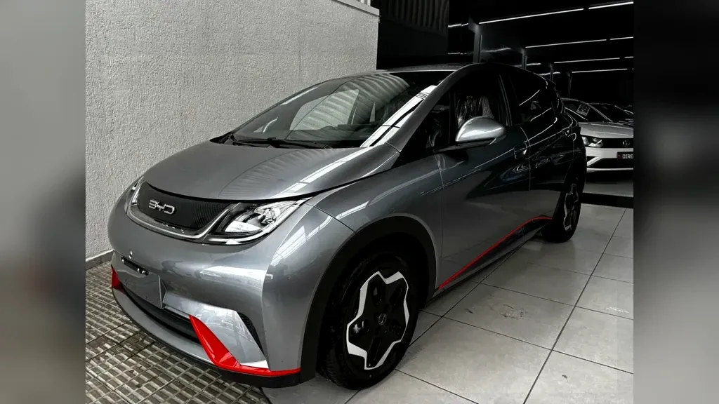 Foto de um byd dolphin