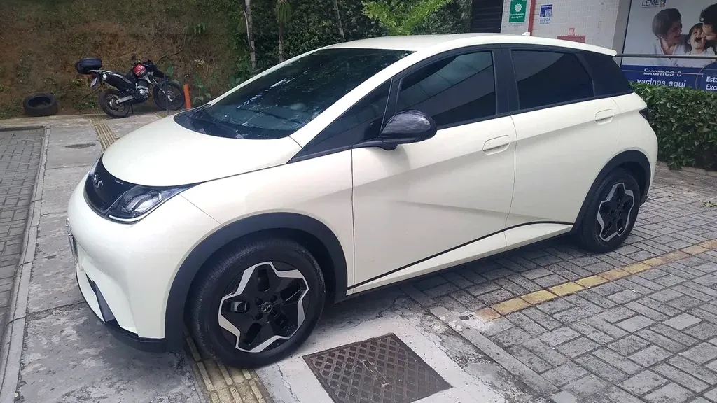 Foto de um byd dolphin