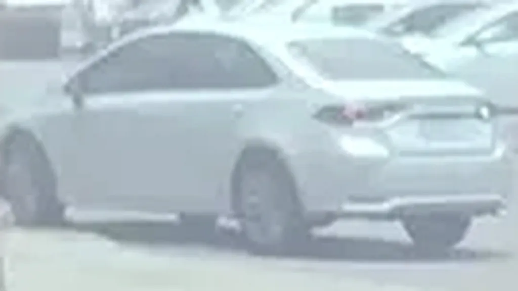 BYD Dolphin - Imagem 14