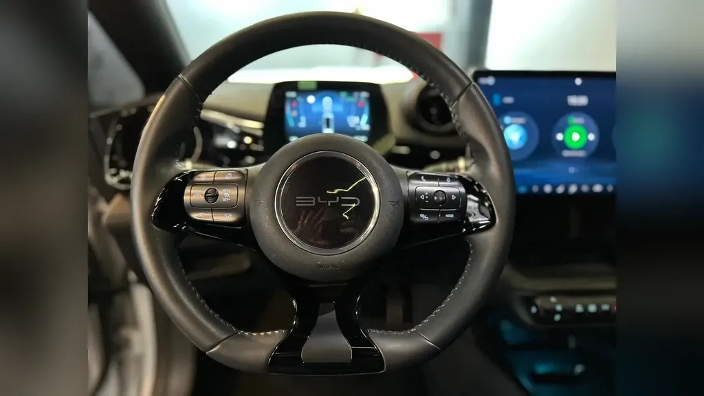 BYD Dolphin Plus - Imagem 8