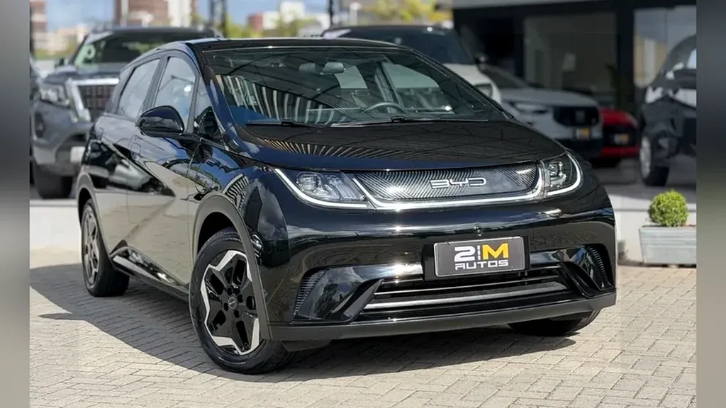 Foto de um byd dolphin