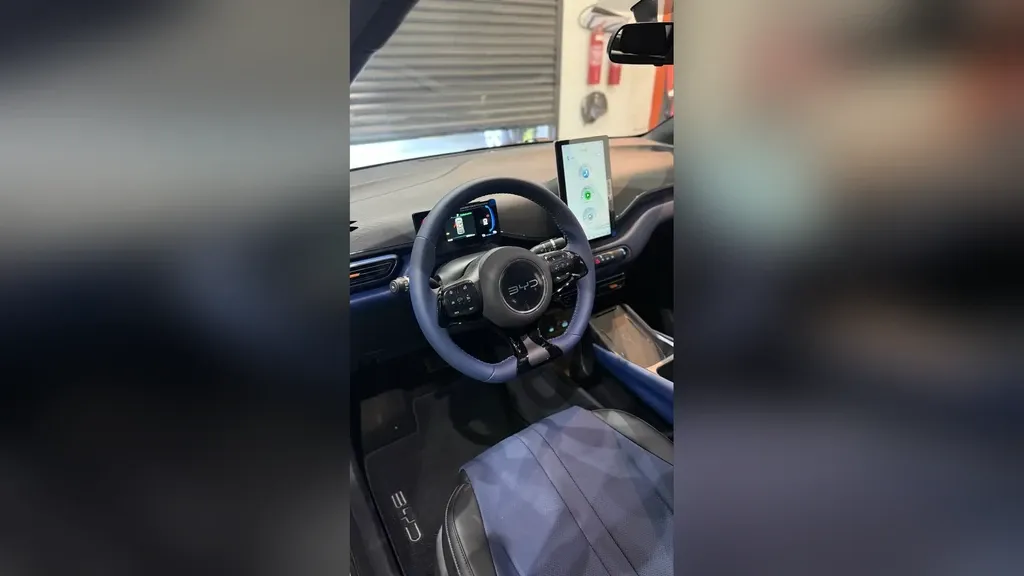 BYD Dolphin Mini - Imagem 10