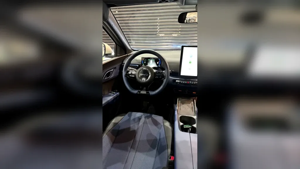 BYD Dolphin Mini - Imagem 12