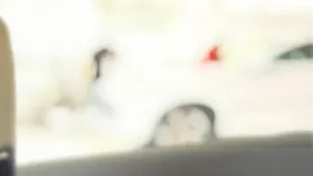 BYD Dolphin Mini - Imagem 9