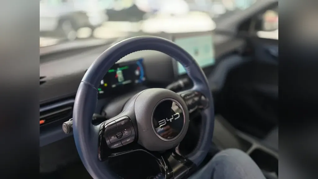 BYD Dolphin Mini - Imagem 12