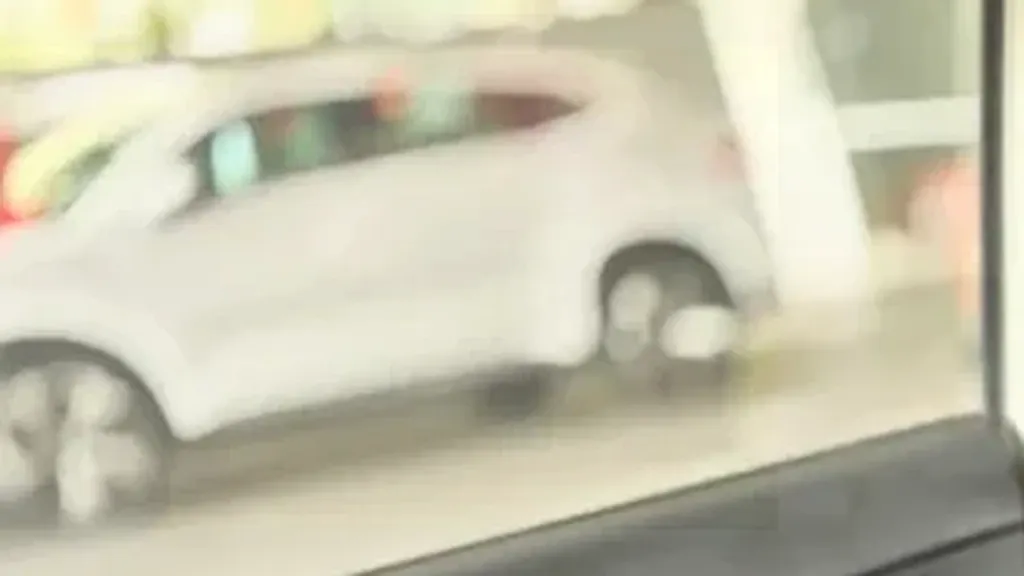 BYD Dolphin Mini - Imagem 16