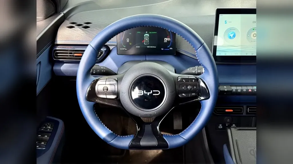 BYD Dolphin Mini - Imagem 3