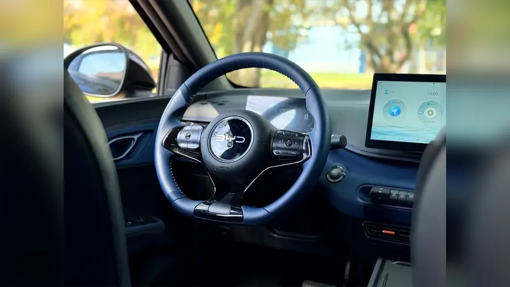 BYD Dolphin Mini - Imagem 12