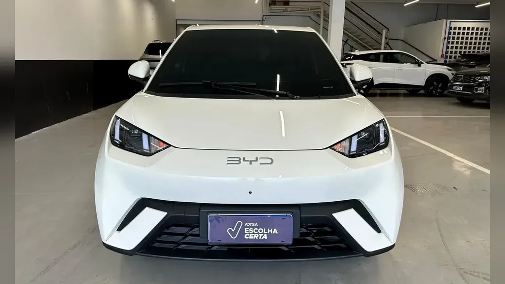 Foto de um byd dolphin mini