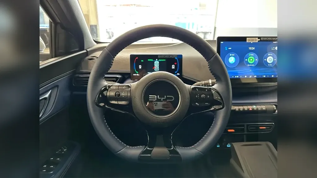 BYD Dolphin Mini - Imagem 18