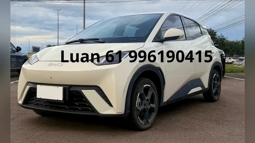 Foto de um byd dolphin mini