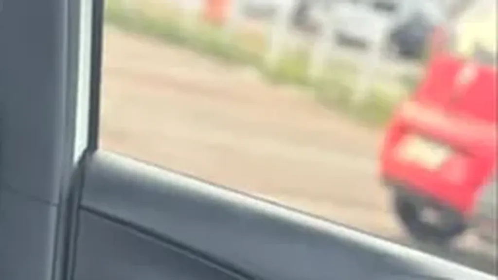 BYD Dolphin Mini - Imagem 12