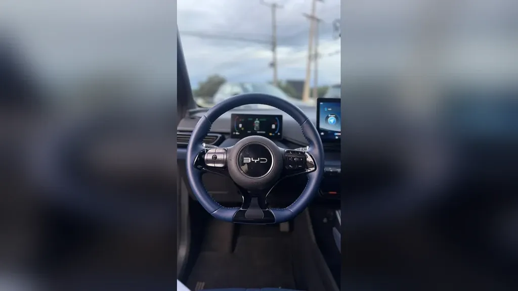 BYD Dolphin Mini - Imagem 13