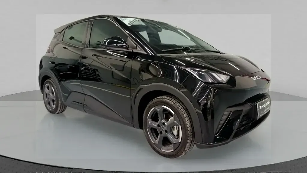 Foto de um byd dolphin mini